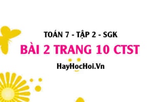 Bài 2 trang 10 Toán 7 Tập 2 Chân trời sáng tạo